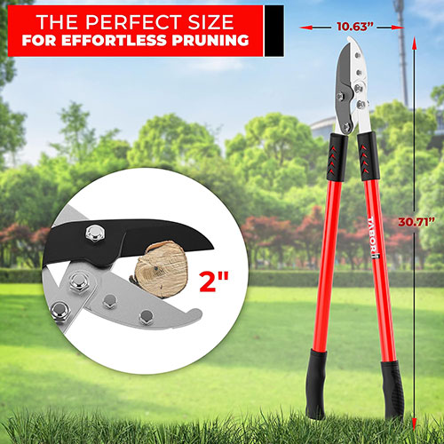 TABOR TOOLS GG12A Anvil Lopper