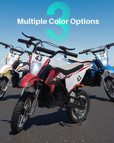 Blitzshark 36V 650W Kids Electric Dirt Bike Off-Road