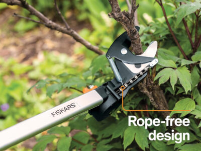 Best Tree Trimming Tools