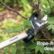 Best Tree Trimming Tools
